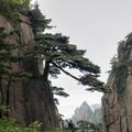 白岳山头头像
