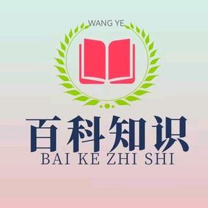 百科知识999头像