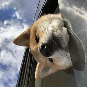 口含薄荷心微凉头像