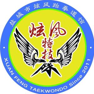 盐城市炫风跆拳道馆头像