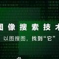 小鹿斑大晚上不睡觉头像