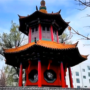 航哥a头像