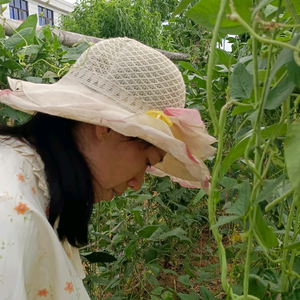 佩姐三农好物头像