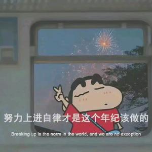 奥特曼卡片小熊头像