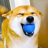 萌宠视界么么哒头像