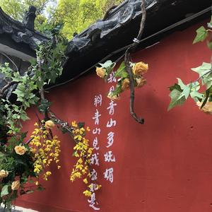 Luna头像