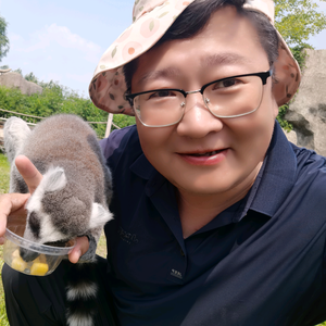 刘的“视角”头像
