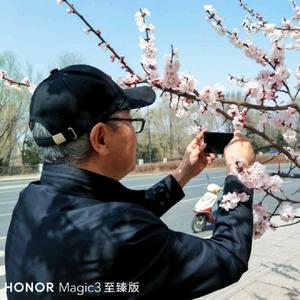 听歌赏景头像