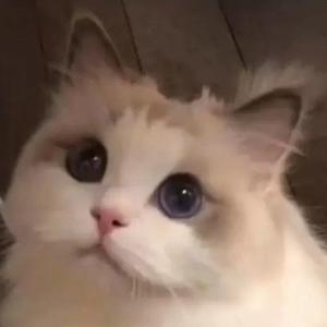 王大愚天天开心头像
