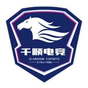 千顺电竞头像