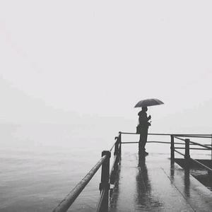 雨诺潇潇头像