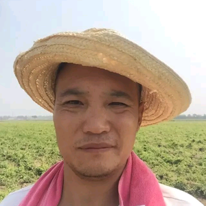 多才多艺光束x头像