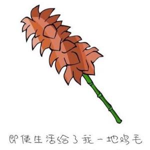 闻洛头像
