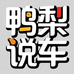 鸭梨说车头像