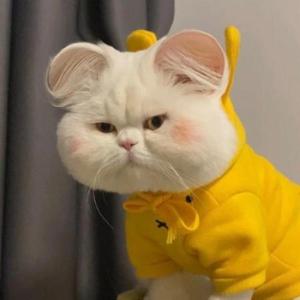 看绝活哥10头像