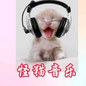 音乐老怪猫头像