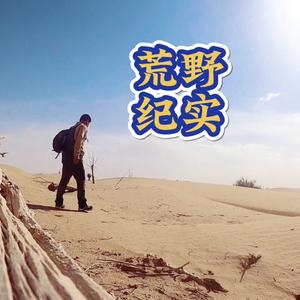 荒野纪实v头像