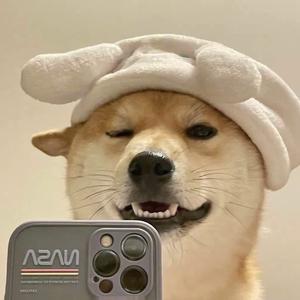 猫哥的影视界头像