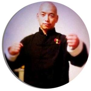 意拳～内家拳头像