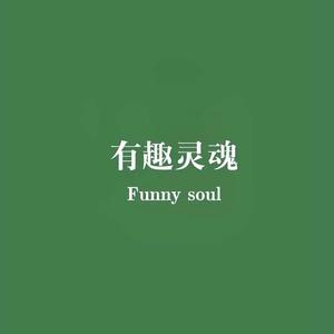 有趣灵魂Funnysoul头像