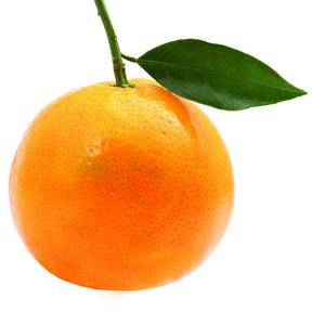 大橘说事头像