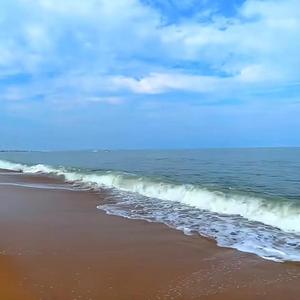 豆浆配油条55头像