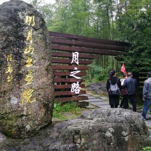 淡定饭团QV头像