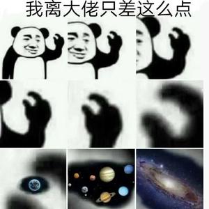 283555562584头像