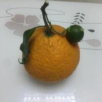 温柔樱桃1b6头像