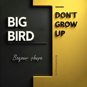 BIGBIRD头像