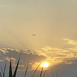 博学的橘子6Vv头像