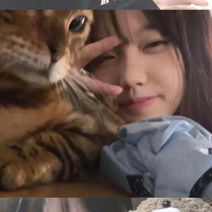聪明漂流瓶RC头像