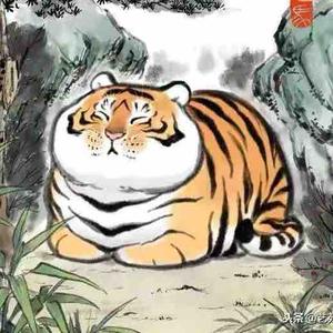 找找看看想想头像