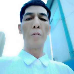弘网Ⓥ头像