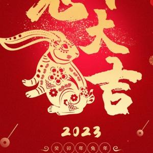 老杨不阳头像