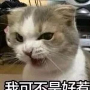 可乐哒鸭头像