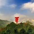 山水豫南头像