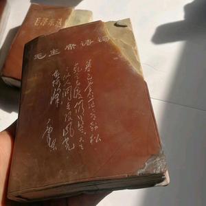 三分堂张国强头像