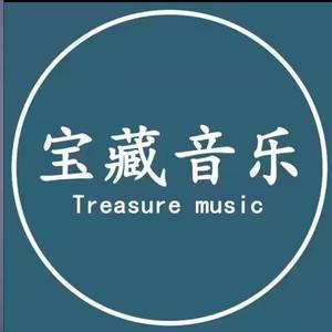 宝藏音乐欢迎你头像