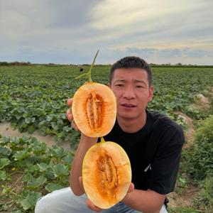 小飞鲜果民勤沙漠蜜瓜头像