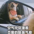 北野看世界头像