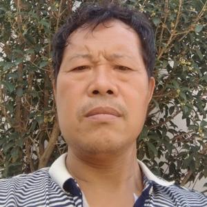 好运来头像