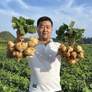 四少新农人头像