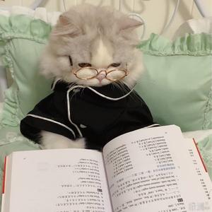 北風只为你头像