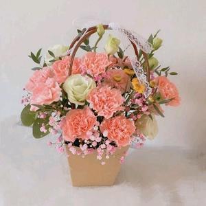 番茄92511746345头像