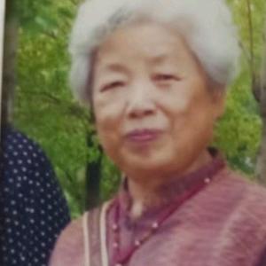 春城张三头像