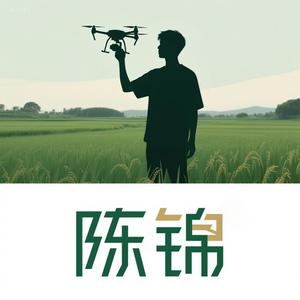 我是陈锦头像