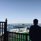 滨海路冻秋梨头像