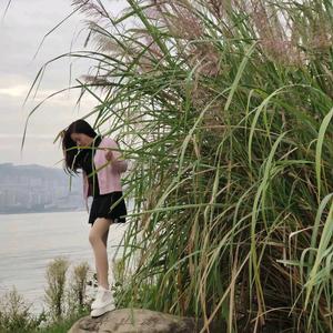 浅梦头像