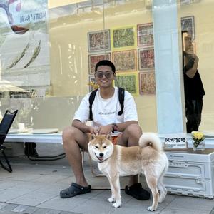 开开与羊羊的北漂生活 头像